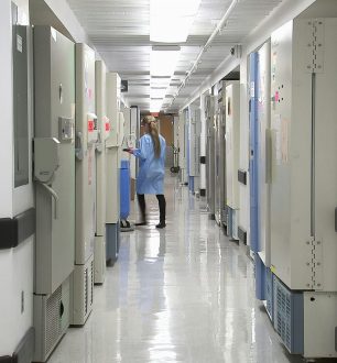 cdc-fpPf0lxu0-4-unsplash